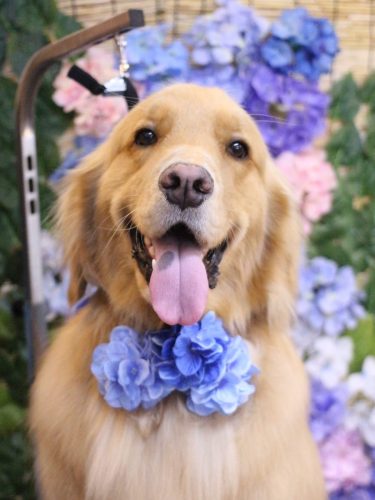 20250606レオくん